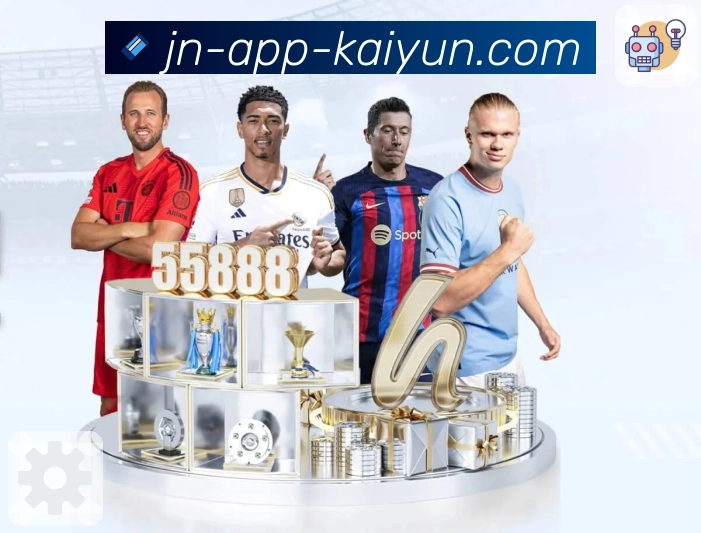 功能与合规认证展示